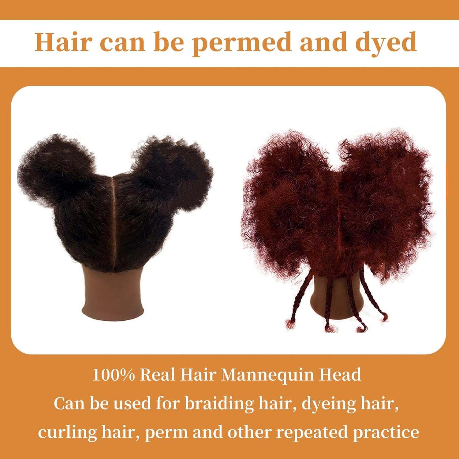 Afro Kinky Curly Mannequin Head with 100% Human Hair, Cosmetology Training Head for Braiding, Styling, Dyeing, and Cutting, Includes Clamp Stand and Accessories