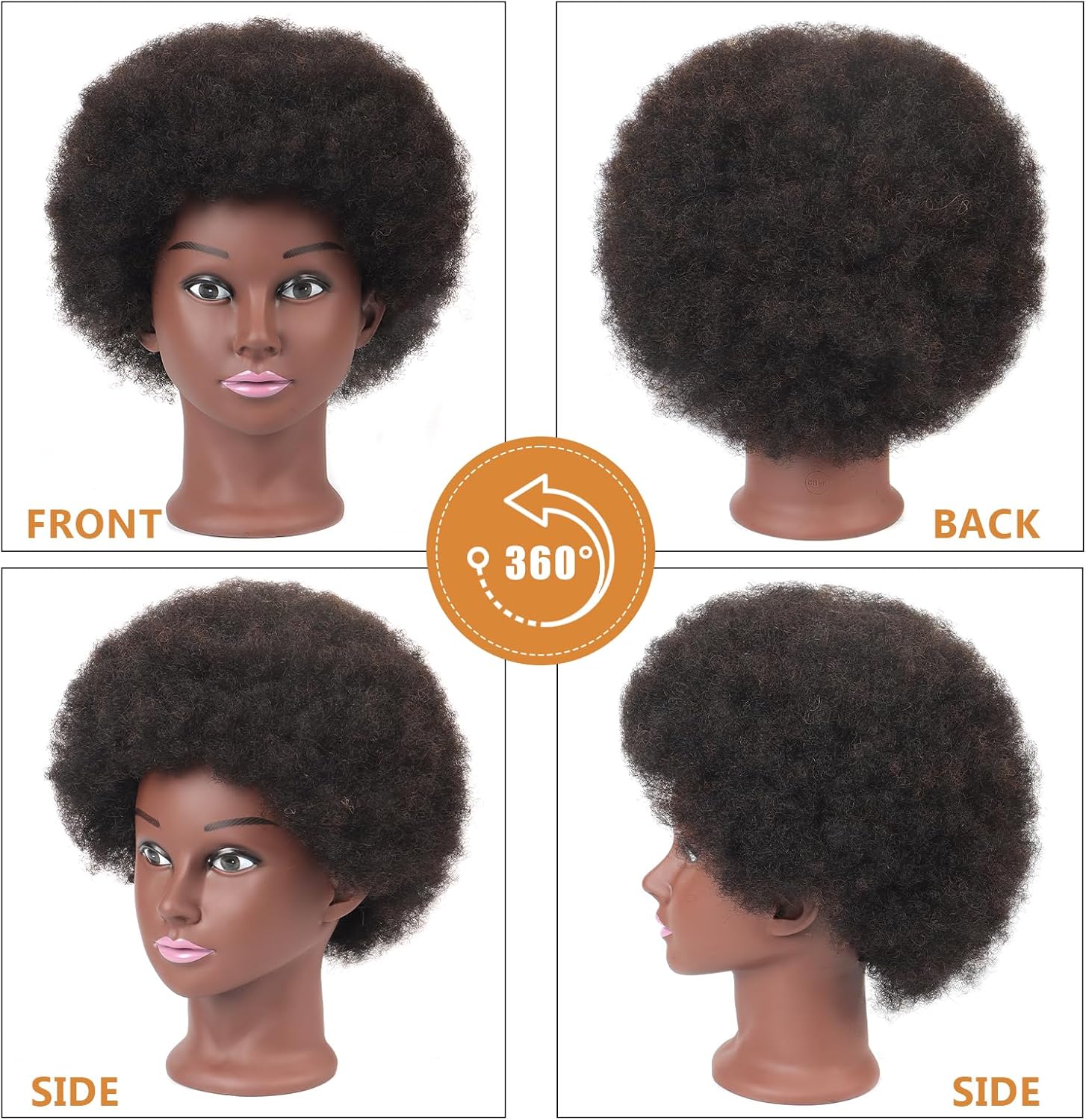 Afro Kinky Curly Mannequin Head with 100% Human Hair, Cosmetology Training Head for Braiding, Styling, Dyeing, and Cutting, Includes Clamp Stand and Accessories