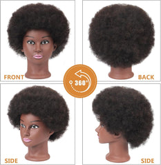 Afro Kinky Curly Mannequin Head with 100% Human Hair, Cosmetology Training Head for Braiding, Styling, Dyeing, and Cutting, Includes Clamp Stand and Accessories